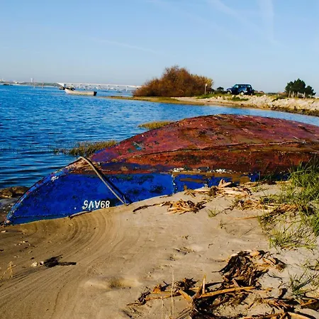Aveiro, Ria E Fado 公寓 阿威罗