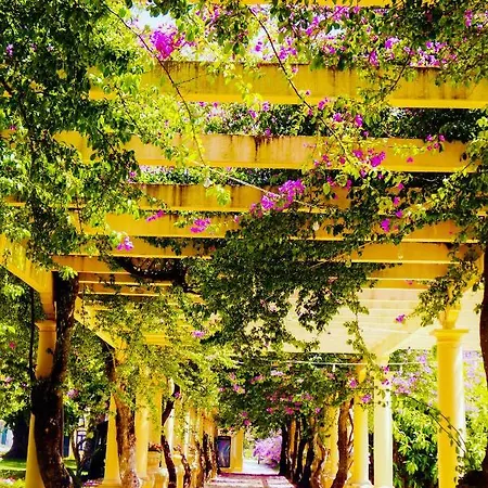 Apartmán Aveiro, Ria E Fado *