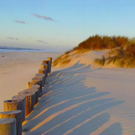 Aveiro, Ria E Fado Aveiro
