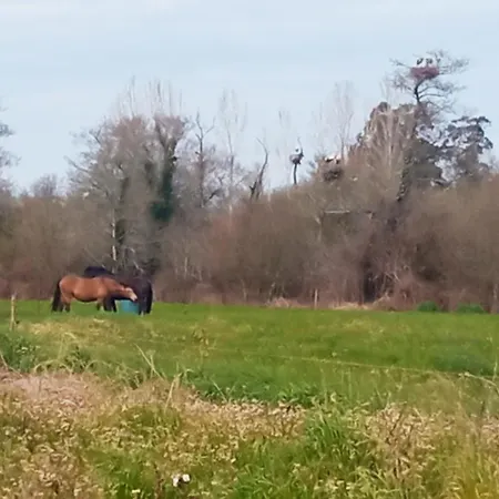 Apartmán Aveiro, Ria E Fado Aveiro