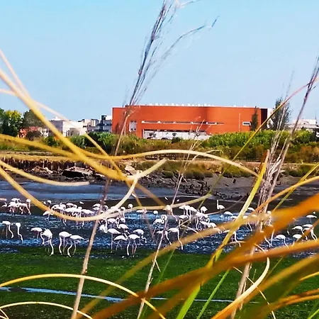 Apartmán Aveiro, Ria E Fado Aveiro