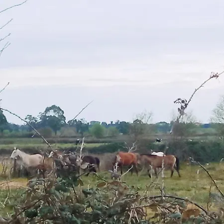 Aveiro, Ria E Fado * 阿威罗