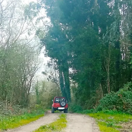 Aveiro, Ria E Fado *