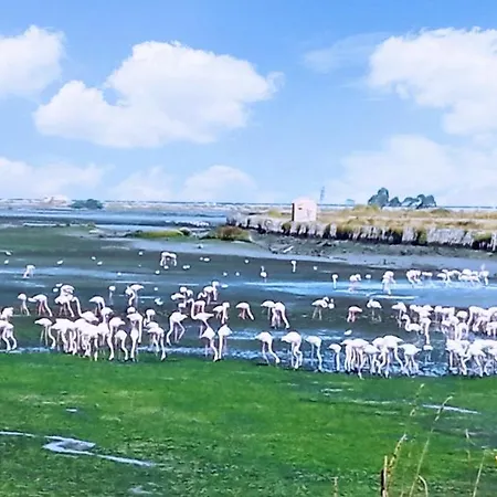 Apartmán Aveiro, Ria E Fado *