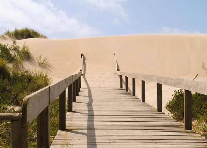 Aveiro, Ria E Fado أفيرو