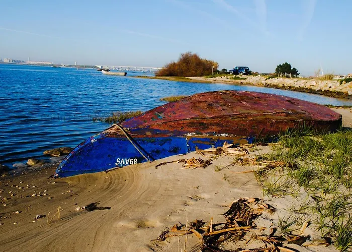 Aveiro, Ria E Fado شقة أفيرو