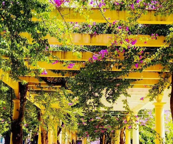 شقة Aveiro, Ria E Fado *