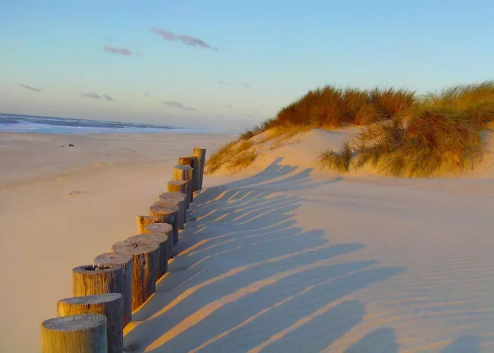 Aveiro, Ria E Fado أفيرو