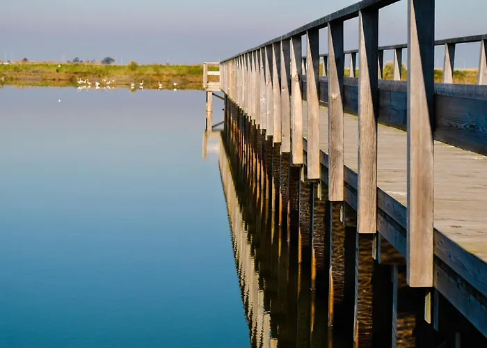 Aveiro, Ria E Fado أفيرو