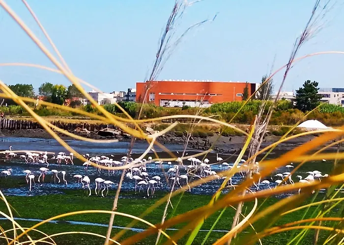 アパート Aveiro, Ria E Fado アヴェイロ