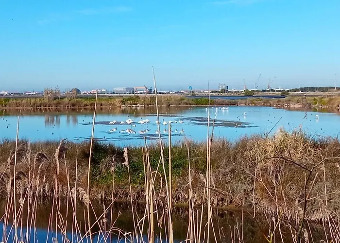 Aveiro, Ria E Fado
