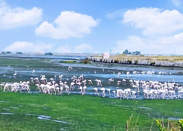 شقة Aveiro, Ria E Fado *